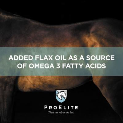 Show full view: ProElite Rejuvenade Max Healthy Joint & Leg Liquid Horse Supplement, 2-lb tub slide 5 of 9