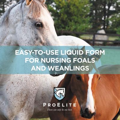 Show full view: ProElite Rejuvenade Max Healthy Joint & Leg Liquid Horse Supplement, 2-lb tub slide 7 of 9