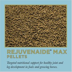 ProElite Rejuvenaide Max Pellet Healthy Joint & Leg Development in Foals Horse Supplement, 3-lb tub slide 2 of 8