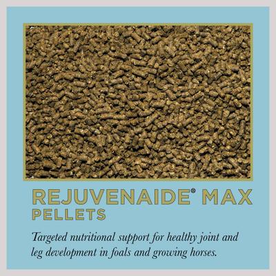 Show full view: ProElite Rejuvenaide Max Pellet Healthy Joint & Leg Development in Foals Horse Supplement, 3-lb tub slide 2 of 9