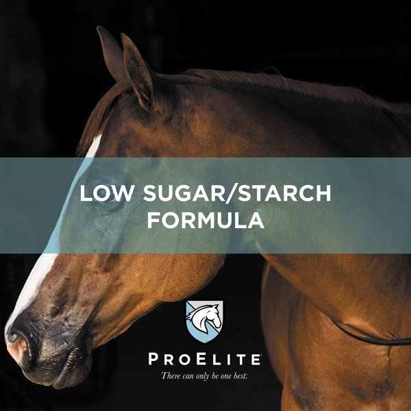 Show full view: ProElite Showman Ultra Premium Low Sugar & Low Starch Horse Feed, 50-lb bag slide 4 of 10