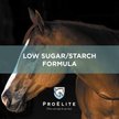 Show in main carousel: ProElite Showman Ultra Premium Low Sugar & Low Starch Horse Feed, 50-lb bag slide 4 of 10