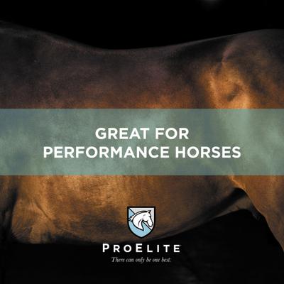 Show full view: ProElite Showman Ultra Premium Low Sugar & Low Starch Horse Feed, 50-lb bag slide 7 of 10