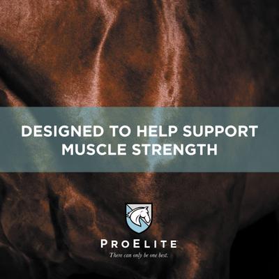 Show full view: ProElite Showman Ultra Premium Low Sugar & Low Starch Horse Feed, 50-lb bag slide 6 of 10