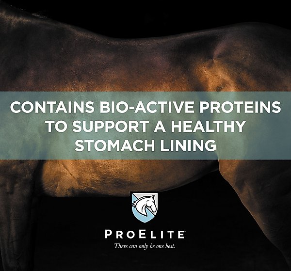 Show full view: ProElite Soothing Pink Xtra Strength Gut Health Support Horse Supplement, 3-lb tub slide 3 of 9