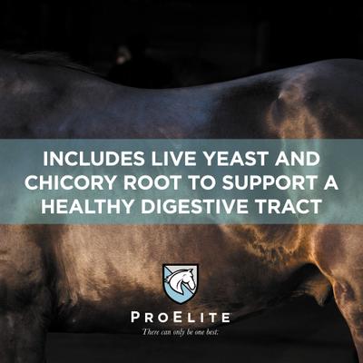 Show full view: ProElite Soothing Pink Xtra Strength Gut Health Support Horse Supplement, 3-lb tub slide 4 of 9