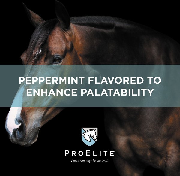 Show full view: ProElite Soothing Pink Xtra Strength Gut Health Support Horse Supplement, 3-lb tub slide 5 of 9