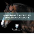 Show in main carousel: ProElite Soothing Pink Xtra Strength Gut Health Support Horse Supplement, 3-lb tub slide 5 of 9