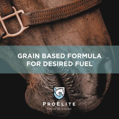 Show full view: ProElite Sport Ultra Premium Enhanced Horse Feed, 50-lb bag slide 4 of 10