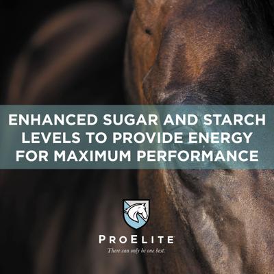Show full view: ProElite Sport Ultra Premium Enhanced Horse Feed, 50-lb bag slide 7 of 10