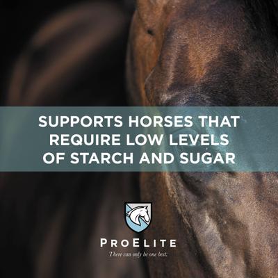 Show full view: ProElite Starch Wise Ultra Premium Low Sugar & Low Starch Horse Feed, 50-lb bag slide 4 of 10