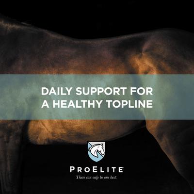 Show full view: ProElite Top-Line Advanced Support Topline Support Horse Supplement, 2.2-lb tub slide 3 of 8