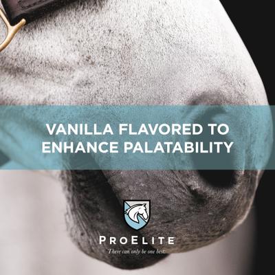 Show full view: ProElite Top-Line Advanced Support Topline Support Horse Supplement, 2.2-lb tub slide 4 of 8