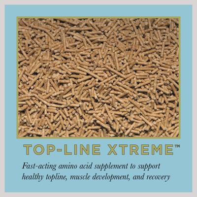 Show full view: ProElite Top-Line Xtreme Topline Support Horse Supplement, 15-lb pail slide 2 of 9
