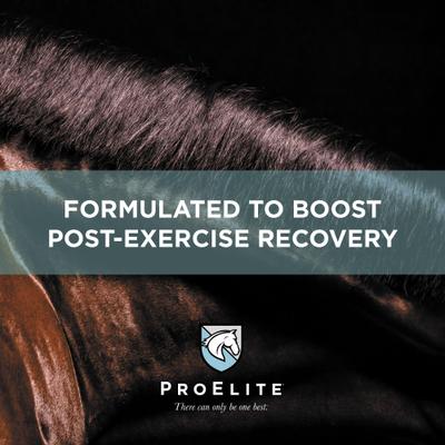 Show full view: ProElite Top-Line Xtreme Topline Support Horse Supplement, 15-lb pail slide 4 of 9