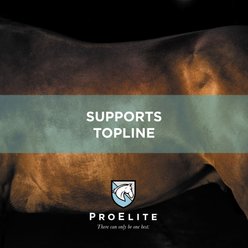 ProElite Topline Advantage Pellets Horse Supplement, 25-lb bag slide 2 of 9