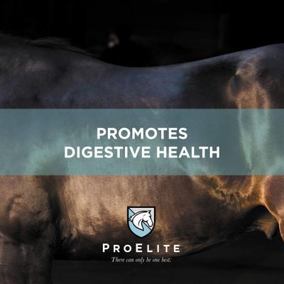 Show full view: ProElite Topline Advantage Pellets Horse Supplement, 25-lb bag slide 6 of 10