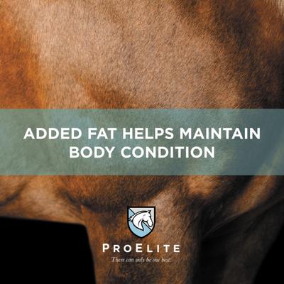 Show full view: ProElite Ultra Premium Senior Low Sugar & Low Starch Horse Feed, 50-lb bag slide 6 of 10