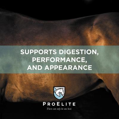 Show full view: ProElite Ultra Premium Senior Low Sugar & Low Starch Horse Feed, 50-lb bag slide 4 of 10