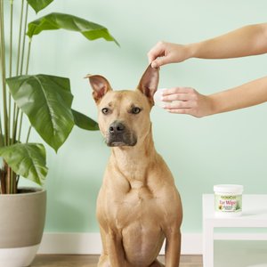 Professional Pet Products AromaCare Ear Wipes, 100 Count