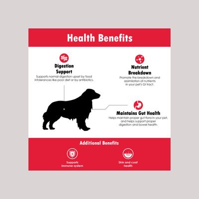 Show full view: Proflora Chicken Flavored Soft Chew Digestive Supplement for Dogs, 60 count slide 6 of 9