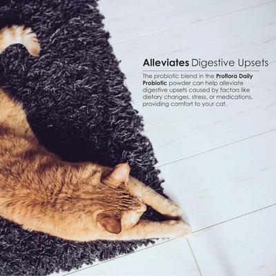 Show full view: Proflora Powder Digestive Supplement for Cats, 30 servings slide 8 of 10