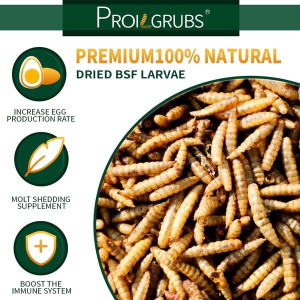 PROILGRUBS Non-GMO Dried Worms Chicken Treats, 10-lb box