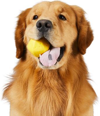 Show full view: Project Hive Pet Company Ball Dog Toy slide 3 of 8