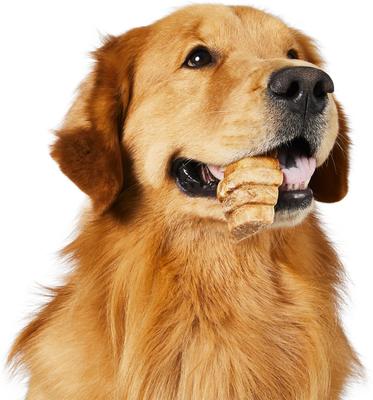 Show full view: Project Hive Pet Company Hive Chews Large Vegetarian Peanut Flavor Dental Dog Treats, 8-oz bag slide 6 of 9