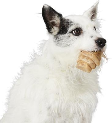 Show full view: Project Hive Pet Company Hive Chews Large Vegetarian Peanut Flavor Dental Dog Treats, 8-oz bag slide 7 of 9