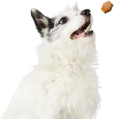 Show full view: Project Hive Pet Company Chews Small Vegetarian Peanut Flavor Dental Dog Treats, 8-oz bag slide 6 of 8