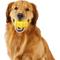 Show in main carousel: Project Hive Pet Company Dog Chew Toy, Large slide 3 of 8