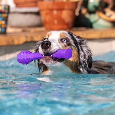 Show full view: Project Hive Pet Company Hive Calming Lavender Scented Fetch Stick Dog Toy, Purple slide 4 of 7