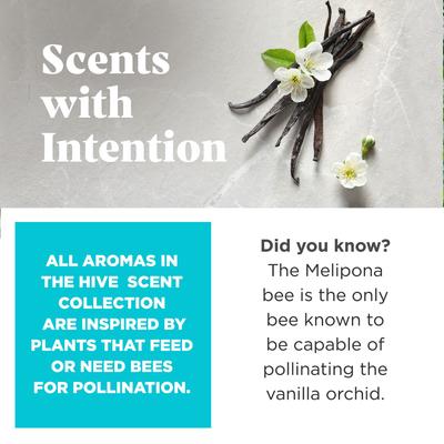 Show full view: Project Hive Pet Company Hive Soothing Vanilla Scented Chew Dog Toy, Blue, Large slide 3 of 5