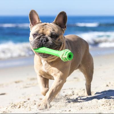 Show full view: Project Hive Pet Company Hive Tropical Coconut Scented Fetch Stick Dog Toy, Green slide 3 of 7