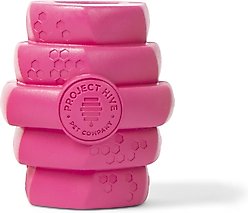 Project Hive Pet Company Hive Wild Berry Aroma Scented Chew Dog Toy, Large, Pink