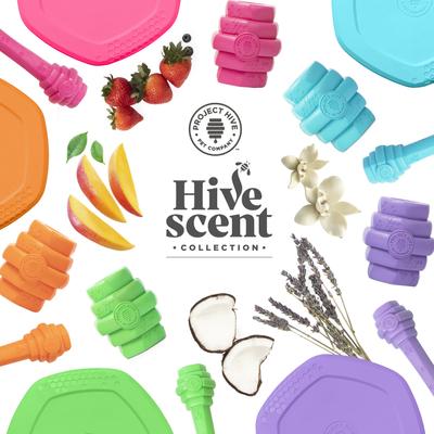 Show full view: Project Hive Pet Company Hive Wild Berry Scented Fetch Stick Dog Toy, Pink slide 6 of 8