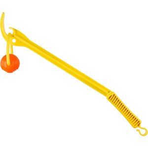 Project Hive Pet Company Hive Zoomer & Ball Dog Toy, Yellow/Orange, Medium, 2 count