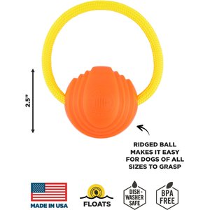 Project Hive Pet Company Hive Zoomer & Ball Dog Toy, Yellow/Orange, Medium, 2 count