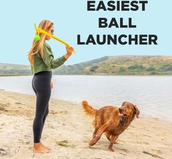 Project Hive Pet Company Looped Ball Dog Toy, Medium, 2 count, Green & Blue slide 2 of 9