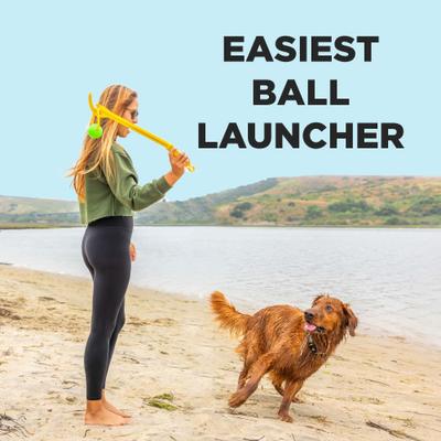 Show full view: Project Hive Pet Company Looped Ball Dog Toy, Medium, 2 count, Green & Blue slide 7 of 12