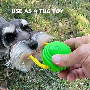 Project Hive Pet Company Looped Ball Dog Toy, Medium, 2 count, Green & Blue
