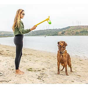 Project Hive Pet Company Looped Ball Dog Toy, Medium, 2 count, Green & Blue