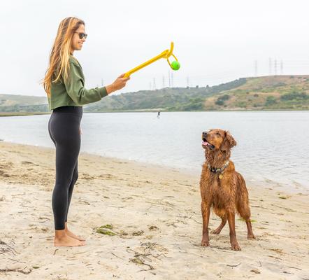 Show full view: Project Hive Pet Company Looped Ball Dog Toy, Medium, 2 count, Green & Blue slide 5 of 12