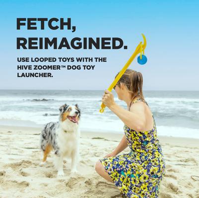 Show full view: Project Hive Pet Company Looped Ball Dog Toy, Medium, 2 count, Green & Blue slide 3 of 12