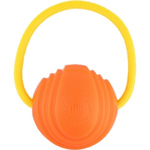 PROJECT HIVE PET COMPANY Looped Ball Dog Toy, Orange, Large