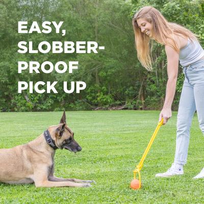 Show full view: Project Hive Pet Company Looped Ball Dog Toy, Orange, Large slide 5 of 11