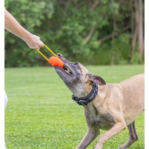 Project Hive Pet Company Looped Ball Dog Toy, Orange, Large