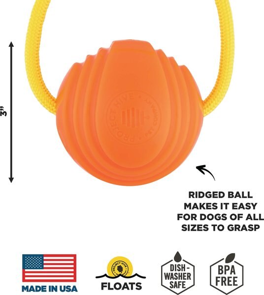 Project Hive Pet Company Looped Ball Dog Toy, Orange, Large