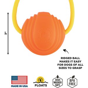 Project Hive Pet Company Looped Ball Dog Toy, Orange, Large